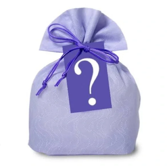 ✨ MYSTERY ITEM 🎁🎀✨ FREE With Any Other Purchase!! - Picture 2 of 2